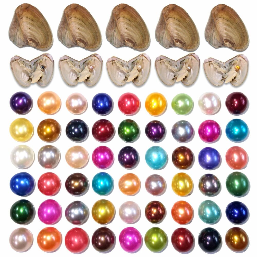 3323 50PC Oyster with Round Pearl Inside Meaningful Color Freshwater